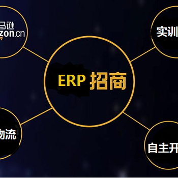 亞馬遜無貨源店群模式盈利月入幾十萬?亞馬遜ERP開發定制